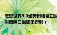 魔兽世界9.0坐骑树栖巨口蟾在哪里获得（魔兽世界9.0坐骑树栖巨口蟾哪里得到）