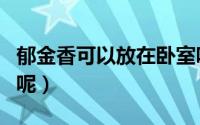 郁金香可以放在卧室吗（郁金香能不能放卧室呢）