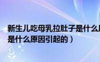 新生儿吃母乳拉肚子是什么原因引起的（婴儿吃母乳拉肚子是什么原因引起的）