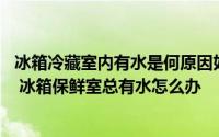 冰箱冷藏室内有水是何原因如何处理 冰箱冷藏室有水怎么办 冰箱保鲜室总有水怎么办 