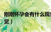 刚刚怀孕会有什么现象（刚刚怀孕会有什么感觉）