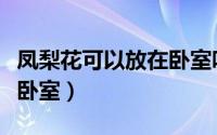 凤梨花可以放在卧室吗（凤梨花适不适合放在卧室）