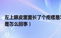 左上眼皮里面长了个疙瘩是怎么回事（眼皮里面长了个疙瘩是怎么回事）