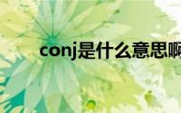 conj是什么意思啊 conj是什么词性 