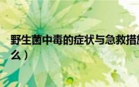 野生菌中毒的症状与急救措施小结（野生菌中毒的症状有什么）