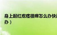 身上起红疙瘩很痒怎么办快速止痒（身上起红疙瘩很痒怎么办）