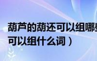 葫芦的葫还可以组哪些词（葫除了组词葫芦还可以组什么词）