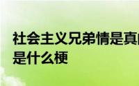 社会主义兄弟情是真的吗 “社会主义兄弟情”是什么梗 