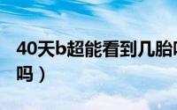 40天b超能看到几胎吗（40天b超能看到孕囊吗）