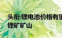 头衔:锂电池价格有望下降,比亚迪将购买6座锂矿矿山