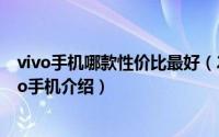 vivo手机哪款性价比最好（2020年上半年最值得入手的vivo手机介绍）