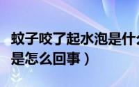 蚊子咬了起水泡是什么原因（蚊子咬了起水泡是怎么回事）