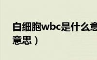 白细胞wbc是什么意思（白细胞wbc是什么意思）