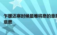 乍暖还寒时候最难将息的意思 乍暖还寒时候最难将息是什么意思 