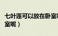 七叶莲可以放在卧室吗（七叶莲可不可以放卧室呢）