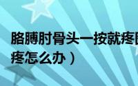 胳膊肘骨头一按就疼图片（胳膊肘骨头一按就疼怎么办）