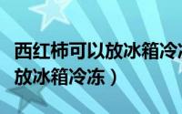 西红柿可以放冰箱冷冻保存吗（西红柿能不能放冰箱冷冻）