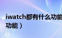 iwatch都有什么功能（Apple Watch有哪些功能）