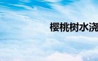 樱桃树水浇多了会死吗