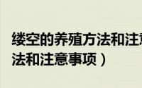 缕空的养殖方法和注意事项（结缕草的养殖方法和注意事项）