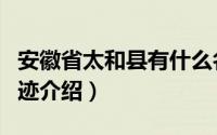 安徽省太和县有什么名胜古迹（太和县文物古迹介绍）