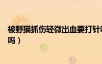 被野猫抓伤轻微出血要打针吗（被野猫抓伤轻微出血要打针吗）