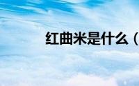 红曲米是什么（红曲米是什么）