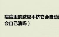 痘痘里的脓包不挤它会自动消下去吗（脸上脓包痘痘不挤掉会自己消吗）