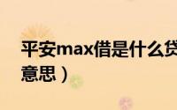 平安max借是什么贷款（平安max贷款什么意思）