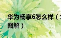 华为畅享6怎么样（华为畅享6手机详细评测图解）