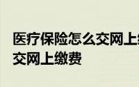 医疗保险怎么交网上缴费2022 医疗保险怎么交网上缴费 