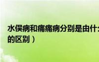 水俣病和痛痛病分别是由什么原因引起的（痛痛病和水俣病的区别）