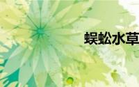 蜈蚣水草怎么固定