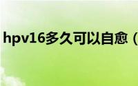 hpv16多久可以自愈（hpv16多久可以转阴）