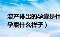 流产排出的孕囊是什么样的（42天流产排出孕囊什么样子）