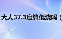 大人37.3度算低烧吗（大人37.3度算发烧吗）