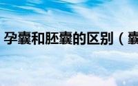 孕囊和胚囊的区别（囊胚和胚胎有什么区别）