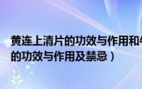 黄连上清片的功效与作用和牛黄解毒片一样吗（黄连上清片的功效与作用及禁忌）