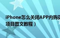 iPhone怎么关闭APP内购买项目（苹果手机关闭APP内购项目图文教程）