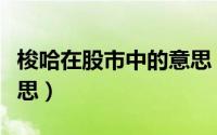 梭哈在股市中的意思（梭哈在股市里是什么意思）