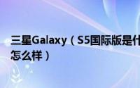 三星Galaxy（S5国际版是什么意思 三星S5国际版手机配置怎么样）