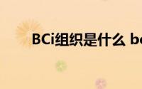 BCi组织是什么 bci组织是什么意思 