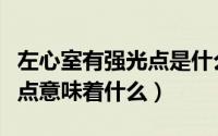 左心室有强光点是什么造成的（左心室有强光点意味着什么）