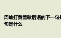 周瑜打黄盖歇后语的下一句是什么 周瑜打黄盖歇后语的下一句是什么 