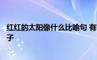 红红的太阳像什么比喻句 有哪些关于红红的太阳像什么的句子 