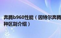 奔腾b960性能（因特尔奔腾B960和2020M处理器之间的各种区别介绍）