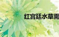 红宫廷水草需要二氧化碳吗