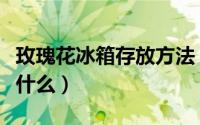 玫瑰花冰箱存放方法（玫瑰花冰箱存放方法是什么）