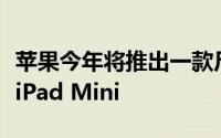 苹果今年将推出一款尺寸更小的新型平板电脑iPad Mini