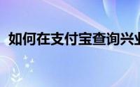 如何在支付宝查询兴业银行信用卡账单明细